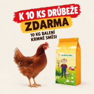 Hnedá mládka Lohman 10 ks + Kŕmna zmes K3 ZADARMO