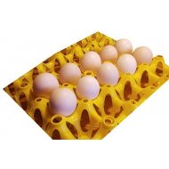 Násadové vajce - Ayam Cemani