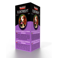 ELEKTROLYT pes 500 ml