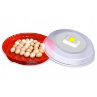 Liaheň na vajcia PUISOR 70 ks vajec