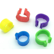 Krúžok na hydinu 10 ks zelený