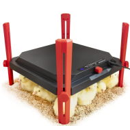 Umelá sliepka s termostatom červená