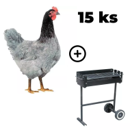 Mládka Modrá 15 ks + záhradný gril TEXAS ZADARMO