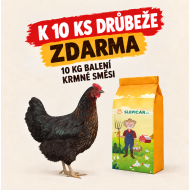 Čierna mládka Horal 10 ks + Kŕmna zmes K3 10 kg ZADARMO