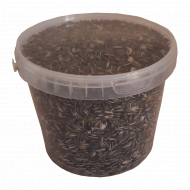 Slnečnica pásikavá