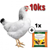 Mládka Sussex 10 ks + Supervit D 100g ZADARMO