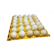 Násadové vajce - velsumka zdrobnené