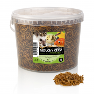 Sušený múčny červ