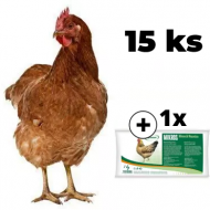 Sliepka Isabrown 15 ks + Minerál 1 kg ZADARMO