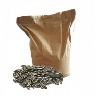 Slnečnica pásikavá