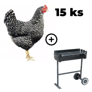 Mládka Kropenatá 15 ks + záhradný gril TEXAS ZADARMO