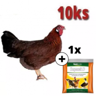Mládka Vlaška jarabica 10 ks + Supervit D 100g ZADARMO