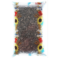 Slnečnica pásikavá