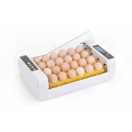 Liaheň vrátane doliahne 24 ks vajec