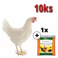 Mládka biela Lohman 10 ks + Supervit D 100g ZADARMO