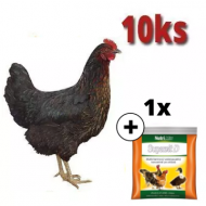 Čierna mládka Horal 10 ks + Supervit D 100 g ZADARMO