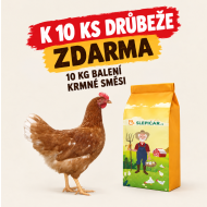 Hnedá mládka Dominant 10 ks + Kŕmna zmes K3 ZADARMO
