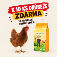 Hnedá mládka Isabrown 10 ks + Kŕmna zmes K3 ZADARMO