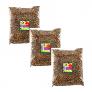 Sušené larvy branenky