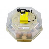 Liaheň na vajcia CLEO 5 TH 60 ks vajec