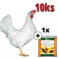 Mládka biela Leghorn 10 ks + Supervit D 100g ZADARMO