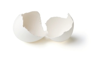 Čo ovplyvňuje farbu škrupiny vajec