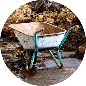 Trusník ako dôležitá časť kurníka