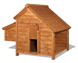 Viac vajec vďaka zateplenému kurníku