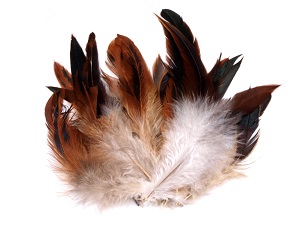 Využitie slepačieho peria alebo kam s ním