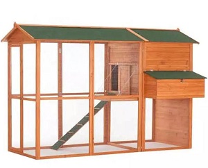 Zimný kurník alebo ako svoje kŕdeľ pripraviť na chladné počasie