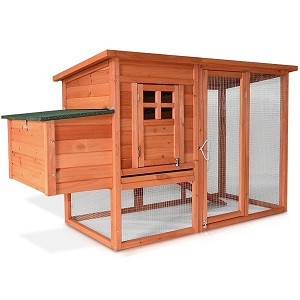 Prečo (ne)zatepľovať kurník?