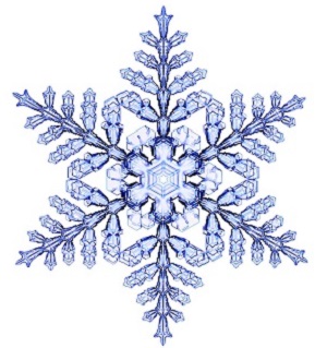 Vadí sliepkam mráz?